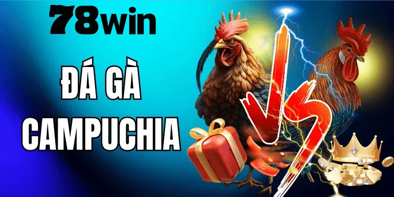 Đá Gà Campuchia 78WIN – Cách Chơi Và Kinh Nghiệm Chọn Chiến Kê