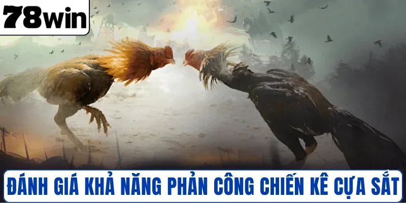 Đánh giá khả năng phản công chiến kê cựa sắt