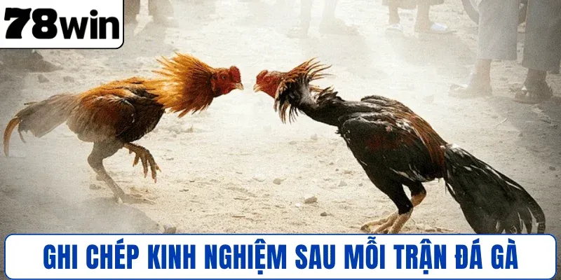 Ghi chép kinh nghiệm sau mỗi trận đá gà