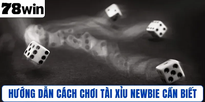 Hướng dẫn cách chơi Tài Xỉu newbie cần biết