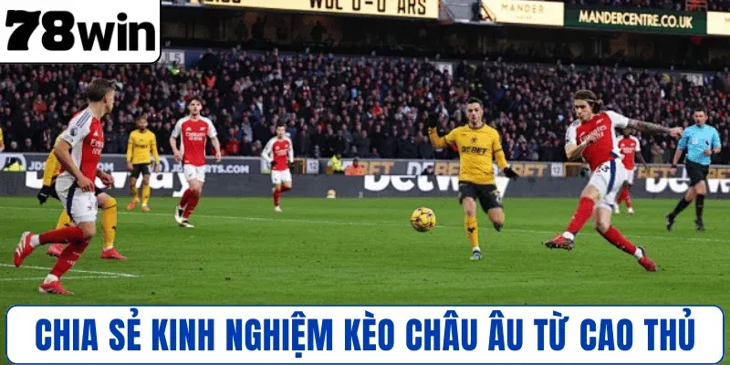 Chia sẻ kinh nghiệm kèo Châu Âu từ cao thủ